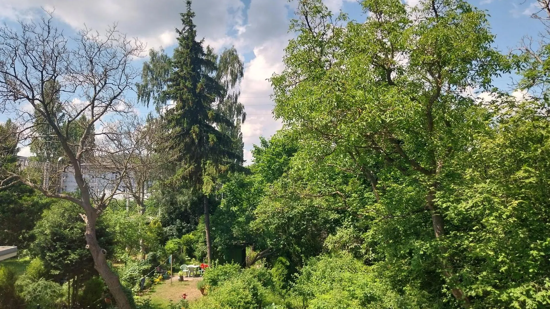 New Green Apartment Sopot 0*,  Poland